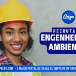 Engenheiro(a) Ambiental